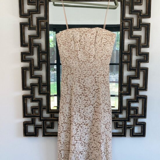 Carmen Marc Valvo ~ Lace Dress ~ Wedding MOB or Bride ~ Cocktail length