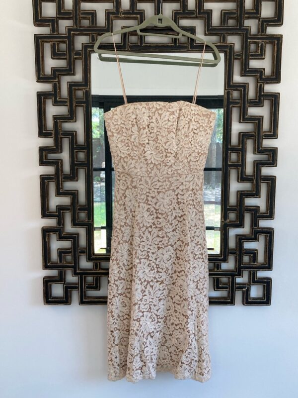 Carmen Marc Valvo ~ Lace Dress ~ Wedding MOB or Bride ~ Cocktail length