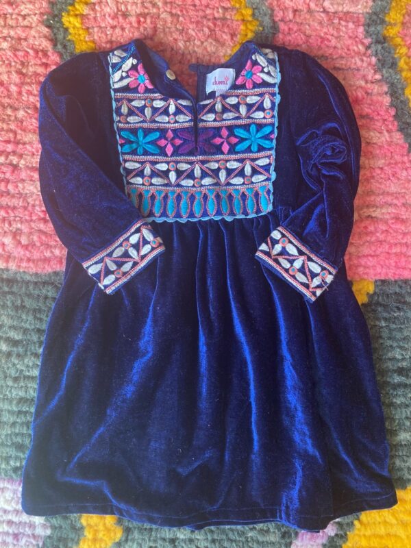 Cheeni Velvet Dress Girls Toddler Embroidered Flowers ~ Sz 3 3T Darling!